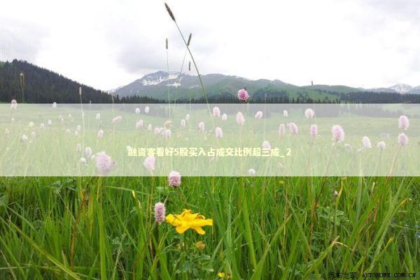 融资客看好5股买入占成交比例超三成_2 新闻