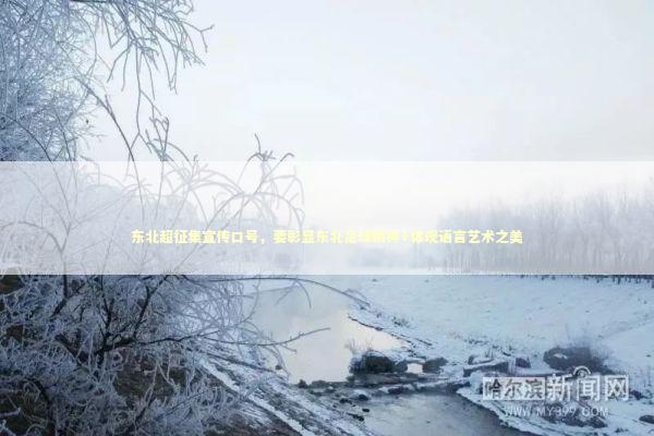 东北超征集宣传口号，要彰显东北足球精神+体现语言艺术之美 新闻