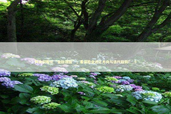 两会前瞻论“金融强国”,看保险业进化方向与迭代趋势!_5 两会前瞻论“金融强国”,看保险业进化方向与迭代趋势!_5 新闻