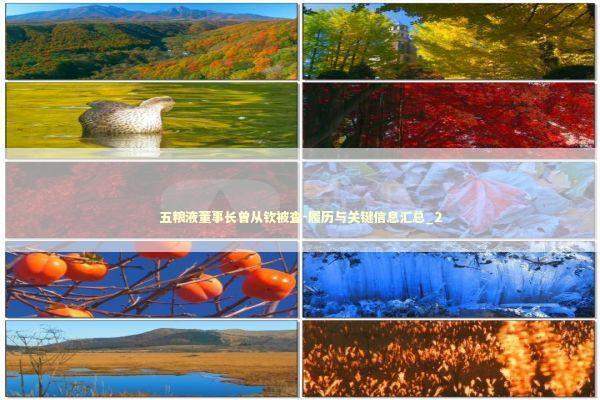 五粮液董事长曾从钦被查-履历与关键信息汇总_2 五粮液董事长曾从钦被查-履历与关键信息汇总_2 新闻