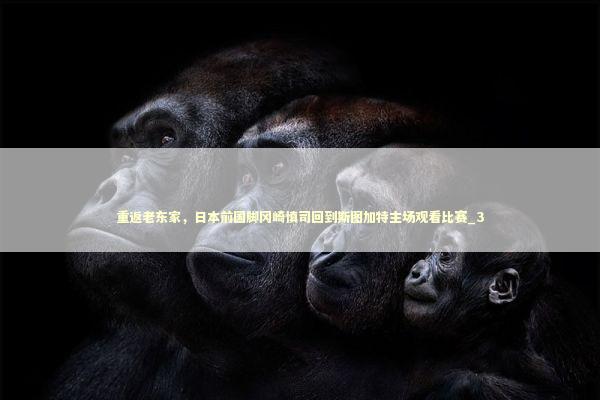 重返老东家，日本前国脚冈崎慎司回到斯图加特主场观看比赛_3 新闻