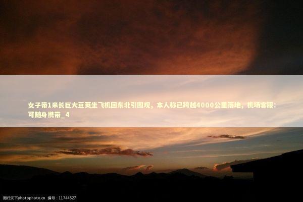 女子带1米长巨大豆荚坐飞机回东北引围观，本人称已跨越4000公里落地，机场客服：可随身携带_4 新闻