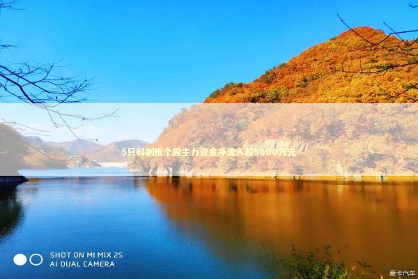 5只科创板个股主力资金净流入超5000万元