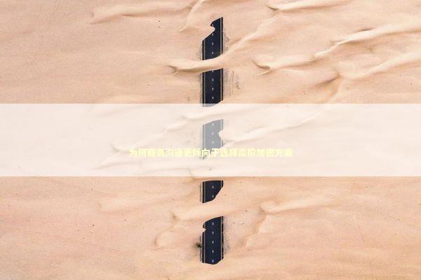 为何商务沟通更倾向于选择高阶加密方案 IT技术