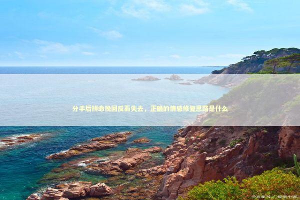 分手后拼命挽回反而失去，正确的情感修复思路是什么