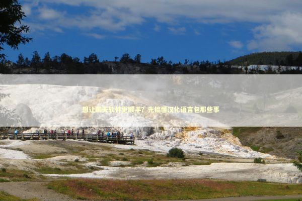 想让聊天软件更顺手？先搞懂汉化语言包那些事