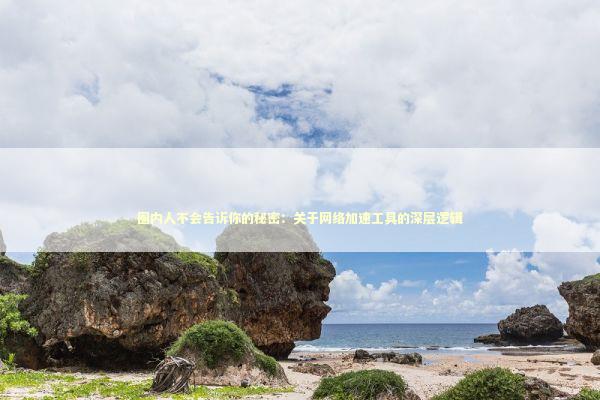 圈内人不会告诉你的秘密:关于网络加速工具的深层逻辑 圈内人不会告诉你的秘密:关于网络加速工具的深层逻辑 IT技术