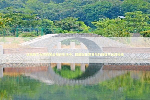 这串数字为何频繁出现在生活中:隐藏在日常背后的规律与运用指南 这串数字为何频繁出现在生活中:隐藏在日常背后的规律与运用指南 新闻
