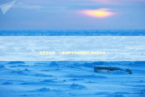 全家总动员:一场为期半年的健康生活改造实验 全家总动员:一场为期半年的健康生活改造实验 健康养生