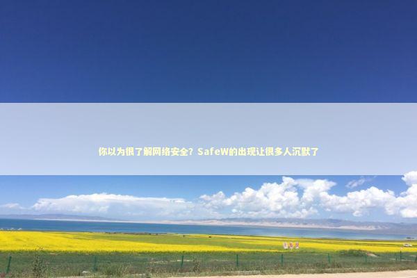 你以为很了解网络安全？SafeW的出现让很多人沉默了